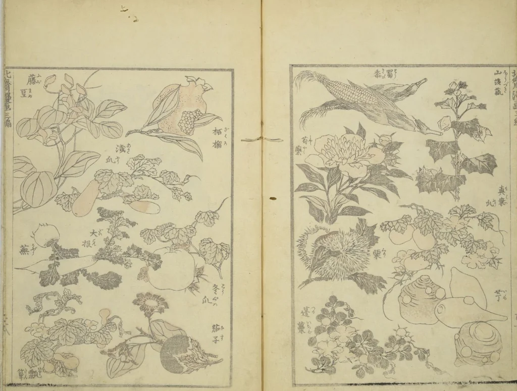 An illustration from Transmitting the Spirit, Revealing the Form of Things, Volume 1 to 15 of Hokusai Sketchbooks (Denshin kaishu: Hokusai manga, shohen - jugohen), 1848, leaf 29