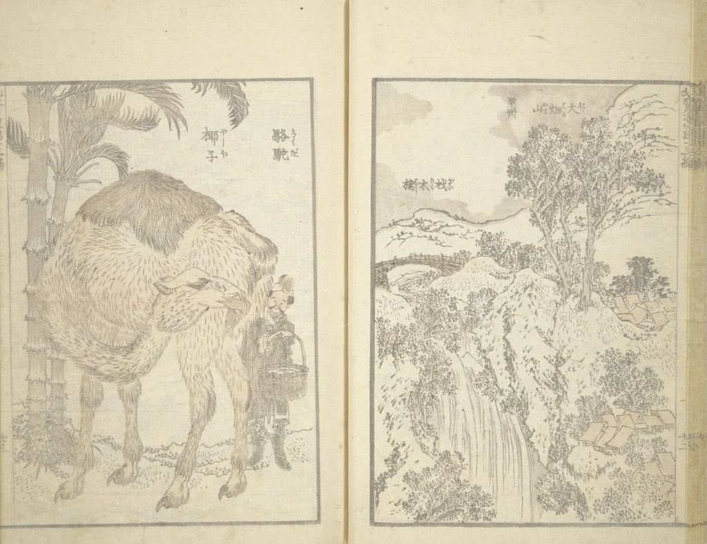 An illustration from Transmitting the Spirit, Revealing the Form of Things, Volume 1 to 15 of Hokusai Sketchbooks (Denshin kaishu: Hokusai manga, shohen - jugohen), 1848, leaf 24