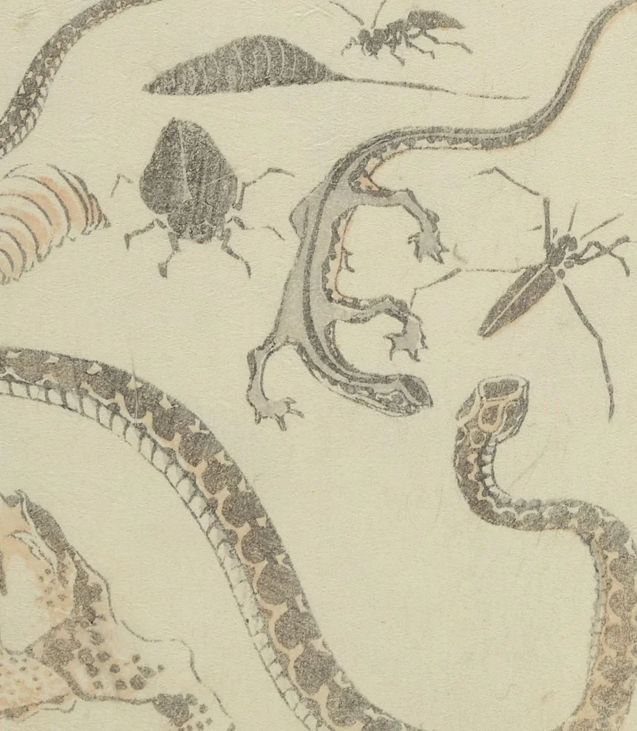 An illustration from Transmitting the Spirit, Revealing the Form of Things, Volume 1 to 15 of Hokusai Sketchbooks (Denshin kaishu: Hokusai manga, shohen - jugohen), 1848, leaf 19