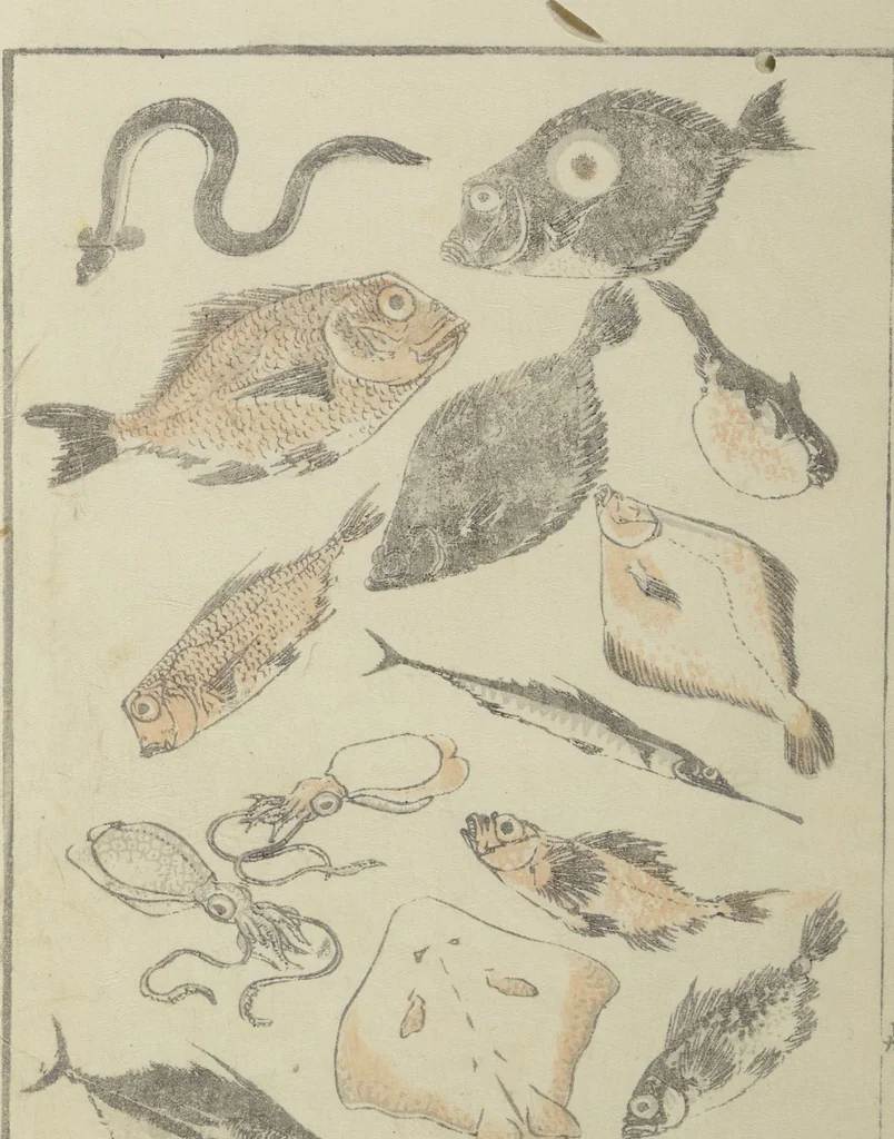 An illustration from Transmitting the Spirit, Revealing the Form of Things, Volume 1 to 15 of Hokusai Sketchbooks (Denshin kaishu: Hokusai manga, shohen - jugohen), 1848, leaf 22