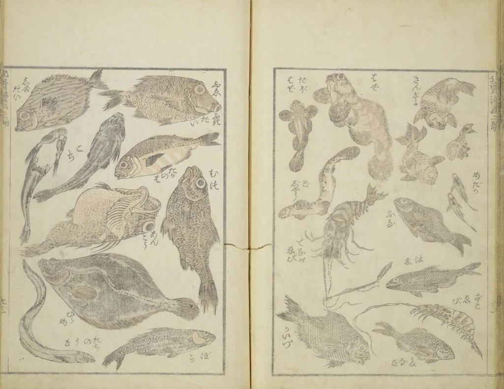 An illustration from Transmitting the Spirit, Revealing the Form of Things, Volume 1 to 15 of Hokusai Sketchbooks (Denshin kaishu: Hokusai manga, shohen - jugohen), 1848, leaf 25