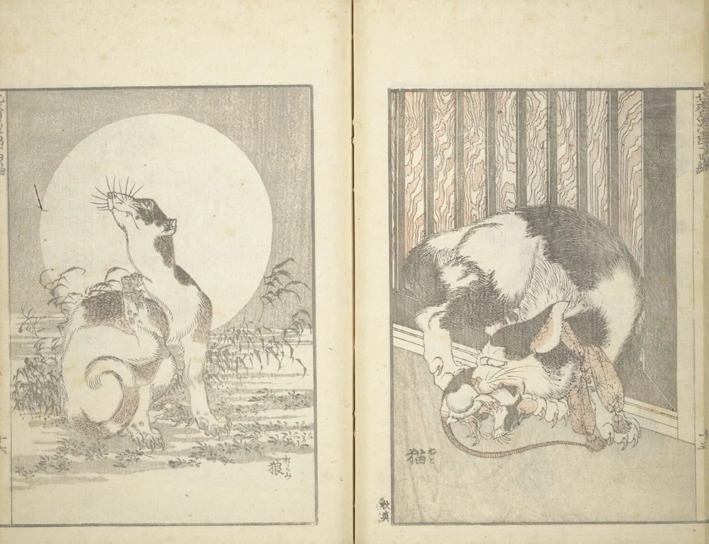 An illustration from Transmitting the Spirit, Revealing the Form of Things, Volume 1 to 15 of Hokusai Sketchbooks (Denshin kaishu: Hokusai manga, shohen - jugohen), 1848, leaf 17