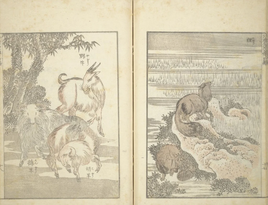 An illustration from Transmitting the Spirit, Revealing the Form of Things, Volume 1 to 15 of Hokusai Sketchbooks (Denshin kaishu: Hokusai manga, shohen - jugohen), 1848, leaf 19