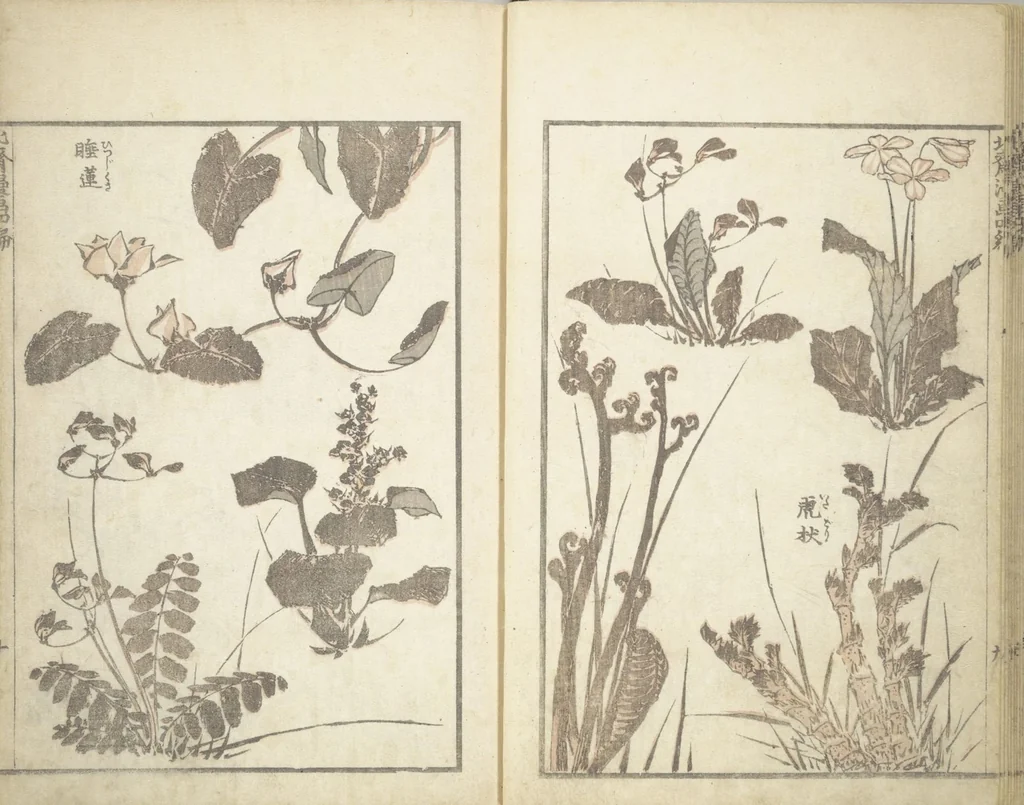 An illustration from Transmitting the Spirit, Revealing the Form of Things, Volume 1 to 15 of Hokusai Sketchbooks (Denshin kaishu: Hokusai manga, shohen - jugohen), 1848, leaf 11