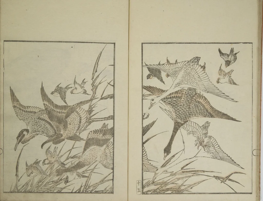 An illustration from Picture Album Transmitting the Spirit: The Hokusai Drawing Style (Denshin gafu Hokusai gashiki), 1819, leaf 19