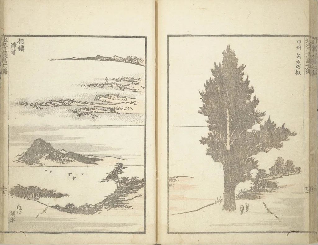 An illustration from Transmitting the Spirit, Revealing the Form of Things, Volume 1 to 15 of Hokusai Sketchbooks (Denshin kaishu: Hokusai manga, shohen - jugohen), 1848, leaf 25