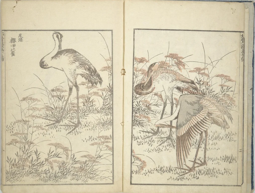 An illustration from Transmitting the Spirit, Revealing the Form of Things, Volume 1 to 15 of Hokusai Sketchbooks (Denshin kaishu: Hokusai manga, shohen - jugohen), 1848, leaf 5
