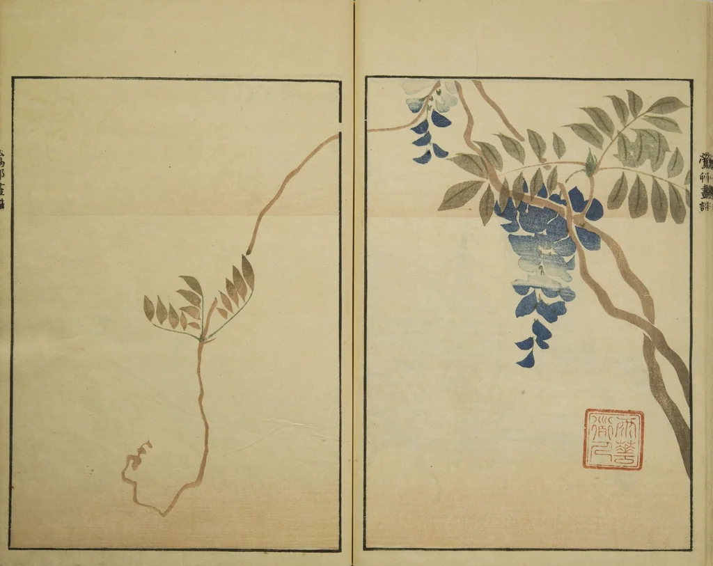 An illustration from Ōson (Hōitsu) Picture Album (Ōson gafu), 1817, leaf 18