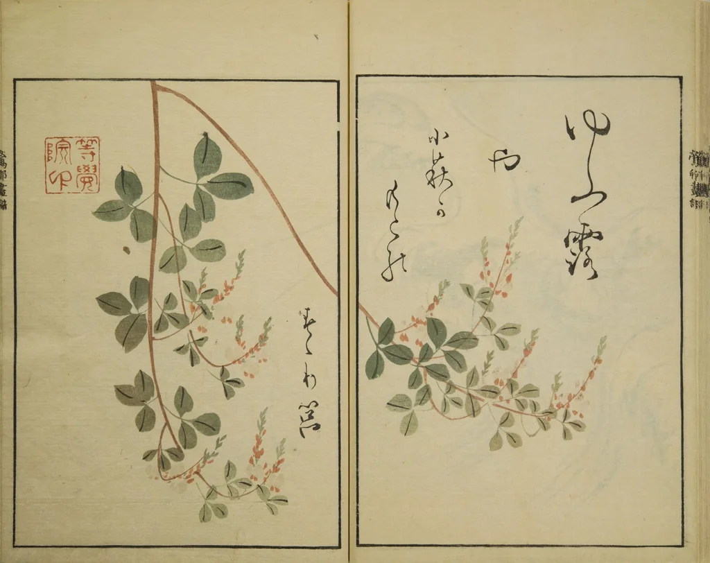 An illustration from Ōson (Hōitsu) Picture Album (Ōson gafu), 1817, leaf 20