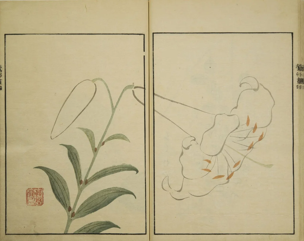 An illustration from Ōson (Hōitsu) Picture Album (Ōson gafu), 1817, leaf 21