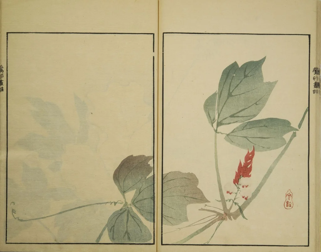 An illustration from Ōson (Hōitsu) Picture Album (Ōson gafu), 1817, leaf 24