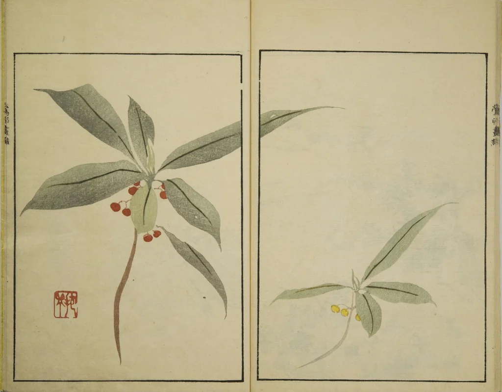 An illustration from Ōson (Hōitsu) Picture Album (Ōson gafu), 1817, leaf 30