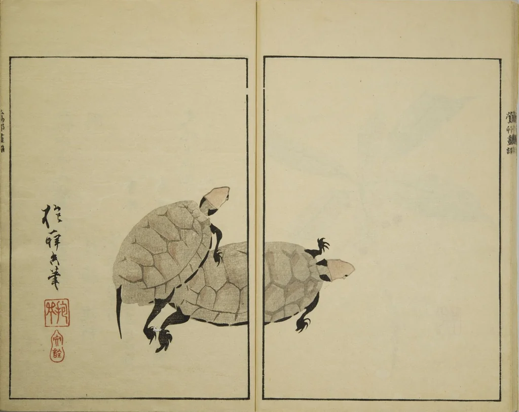 An illustration from Ōson (Hōitsu) Picture Album (Ōson gafu), 1817, leaf 31