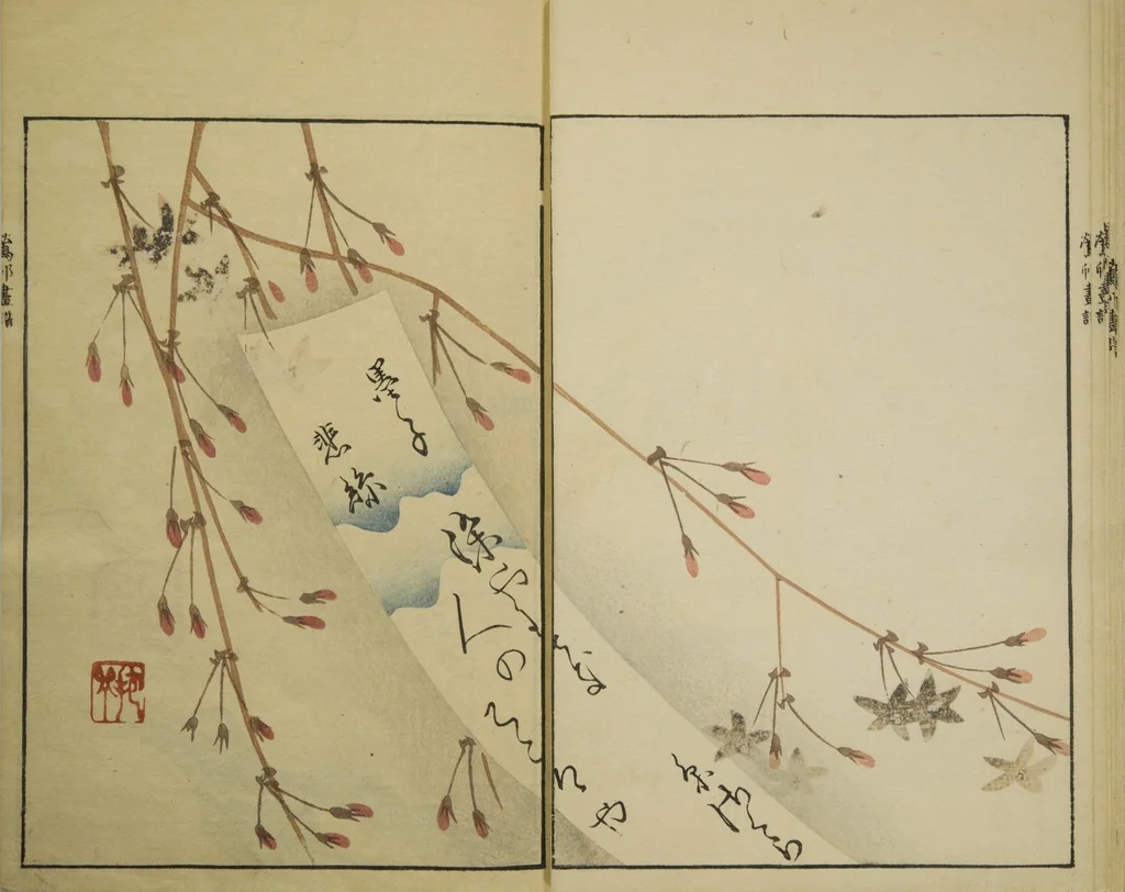 An illustration from Ōson (Hōitsu) Picture Album (Ōson gafu), 1817, leaf 8