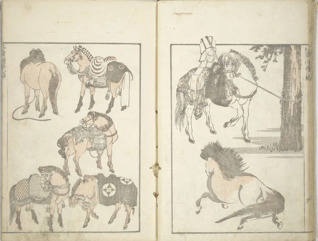 An illustration from Transmitting the Spirit, Revealing the Form of Things, Volume 1 to 15 of Hokusai Sketchbooks (Denshin kaishu: Hokusai manga, shohen - jugohen), 1848, leaf 12