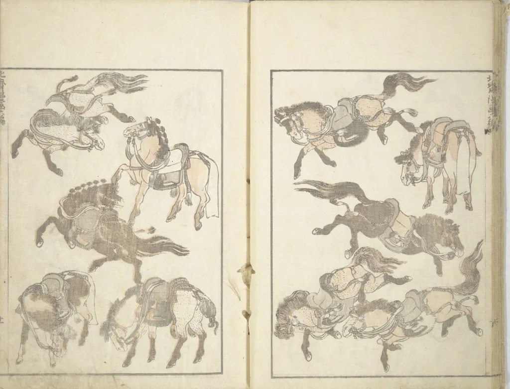 An illustration from Transmitting the Spirit, Revealing the Form of Things, Volume 1 to 15 of Hokusai Sketchbooks (Denshin kaishu: Hokusai manga, shohen - jugohen), 1848, leaf 13