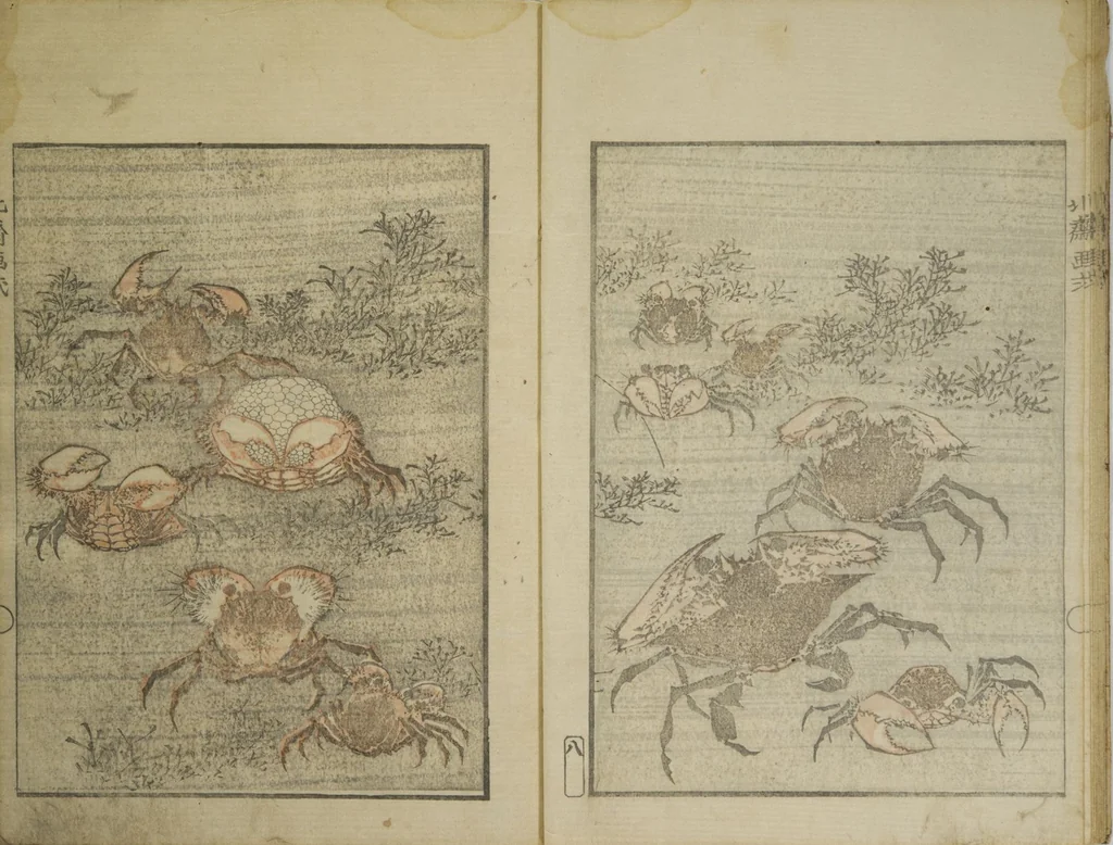An illustration from Picture Album Transmitting the Spirit: The Hokusai Drawing Style (Denshin gafu Hokusai gashiki), 1819, leaf 12