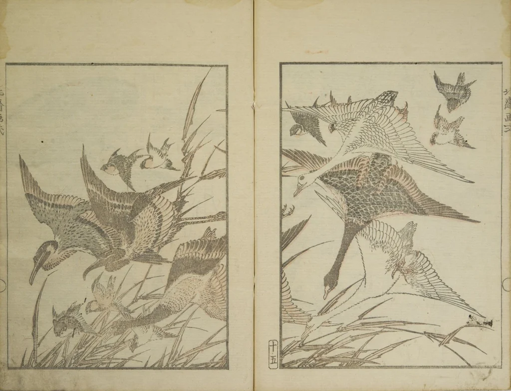 An illustration from Picture Album Transmitting the Spirit: The Hokusai Drawing Style (Denshin gafu Hokusai gashiki), 1819, leaf 19