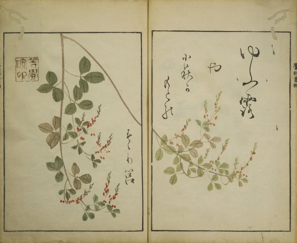 An illustration from Picture Album by Ōson (Hōitsu) (Ōson fuga), 1817, leaf 17