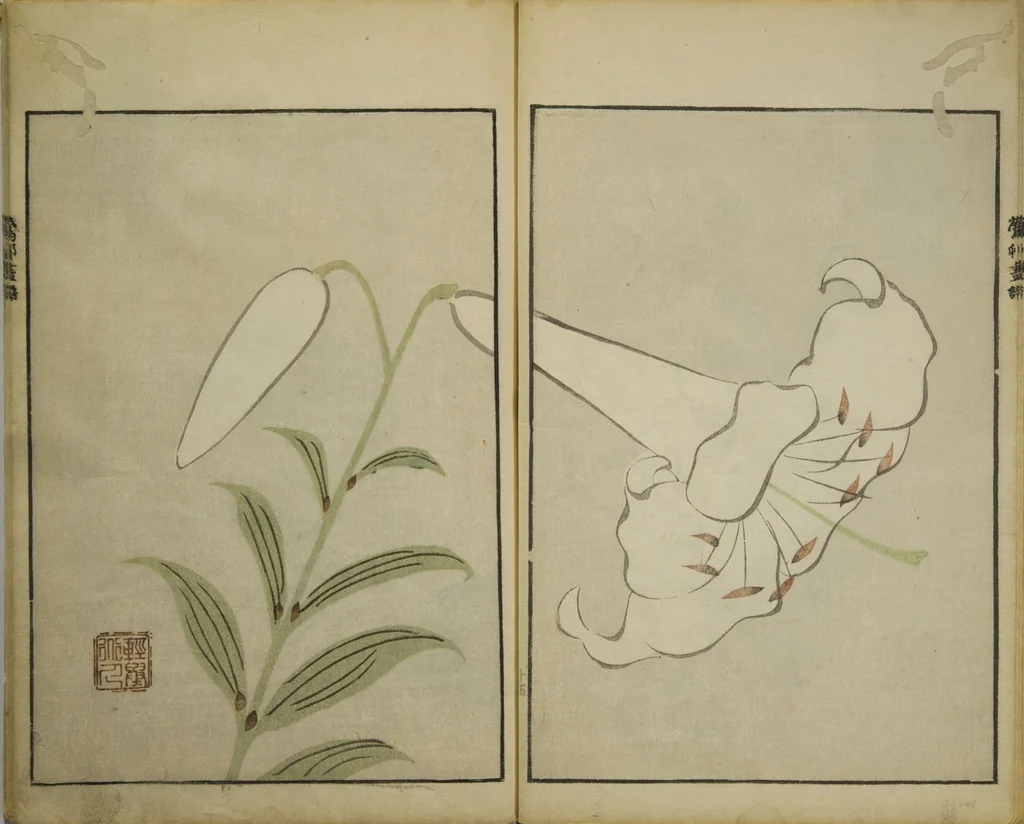 An illustration from Picture Album by Ōson (Hōitsu) (Ōson fuga), 1817, leaf 18
