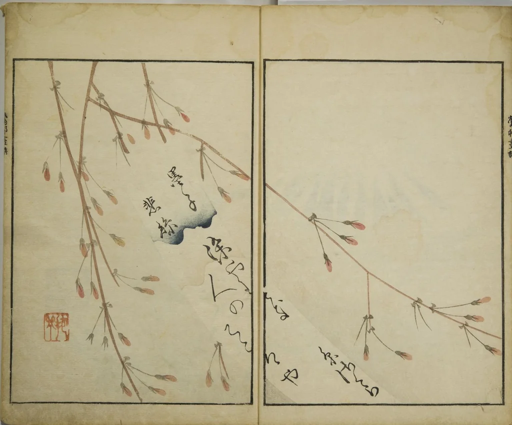 An illustration from Picture Album by Ōson (Hōitsu) (Ōson fuga), 1817, leaf 5