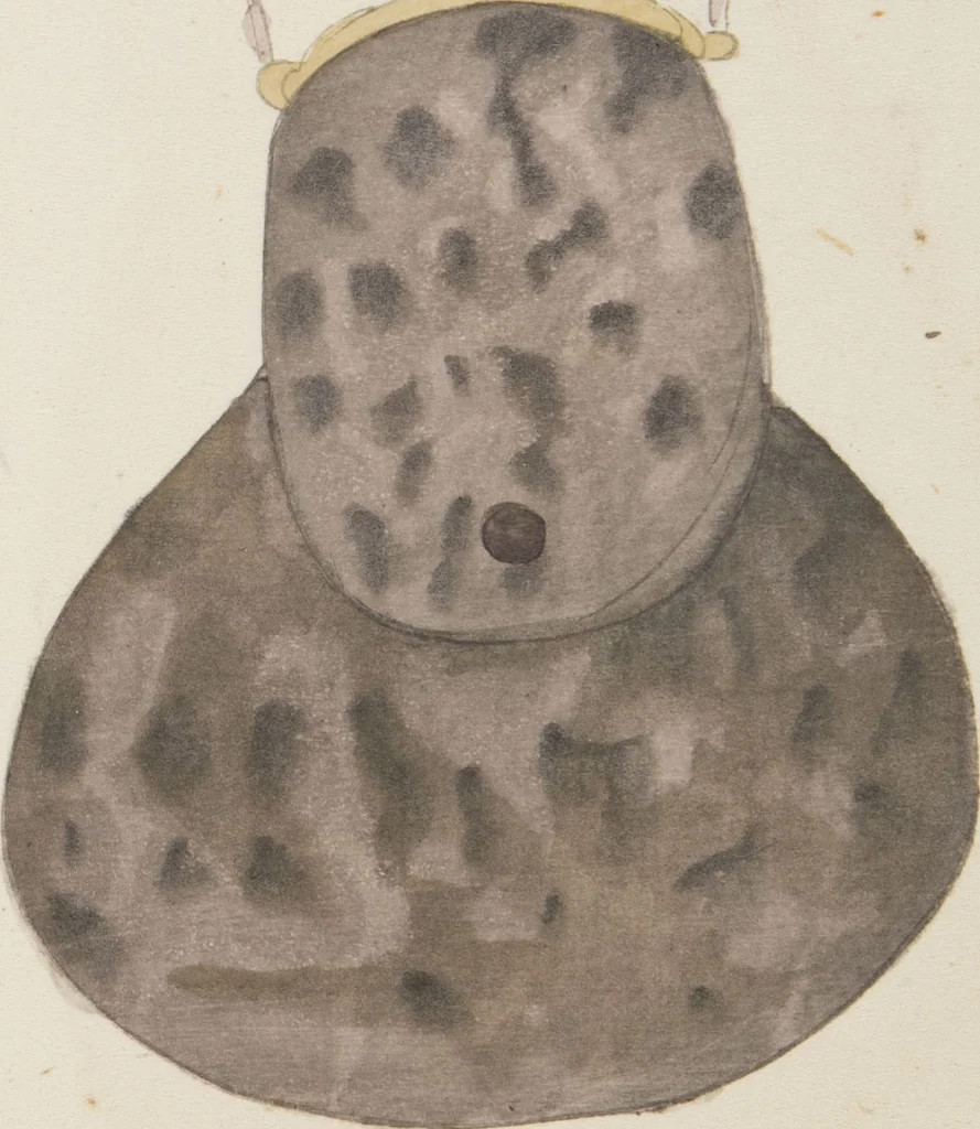 An illustration from Hōkoku zushū / hissha Sawada Seiichirō, Sanfuranshisuko Bankoku Hakurankai Kyoto Shuppin Kyōkai : [volume 3], 1915, leaf 8