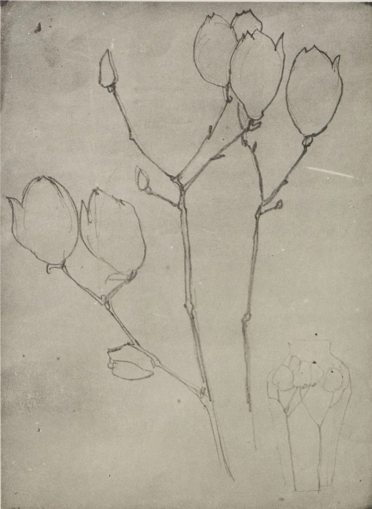 An illustration from Mokugo zuanshū / Mokugokai hen, 1908, leaf 77