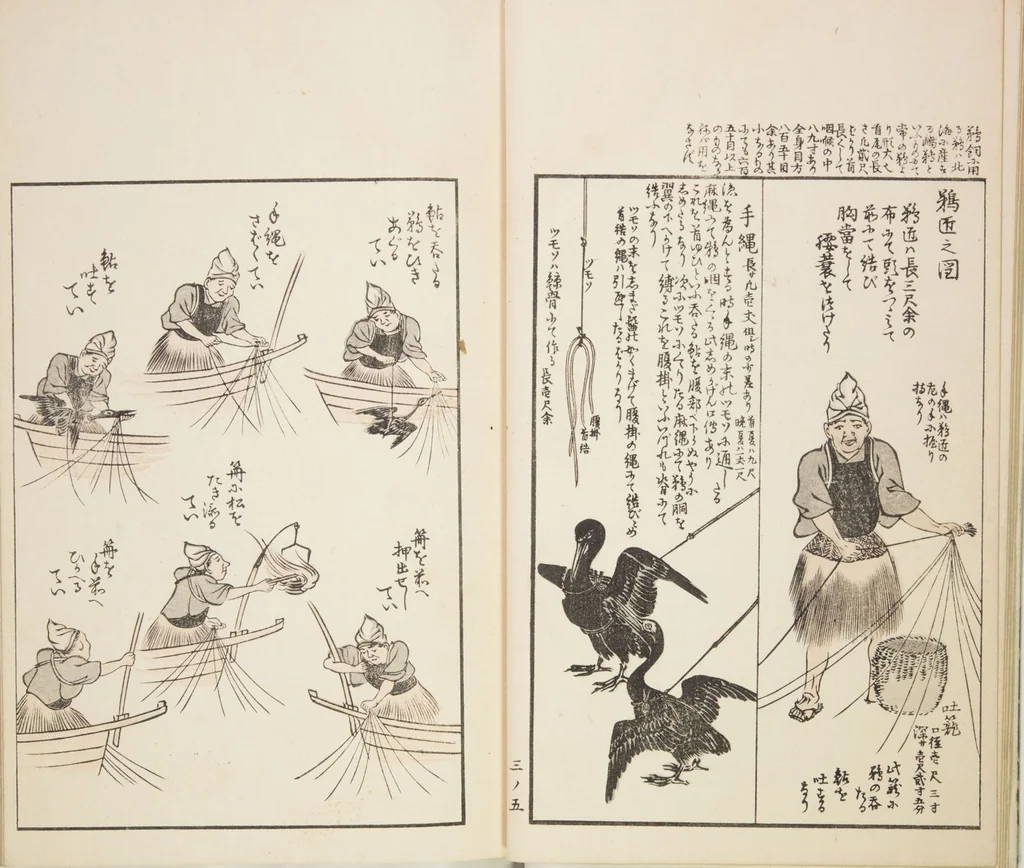 An illustration from Chiyomikusa (Book on Design) : [volume 3], 1901, leaf 7