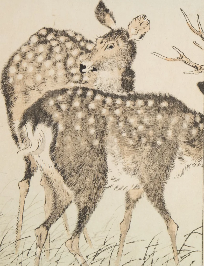 An illustration from World of Fine Arts (Bijutsu Sekai) : [volume 8], 1891, leaf 13