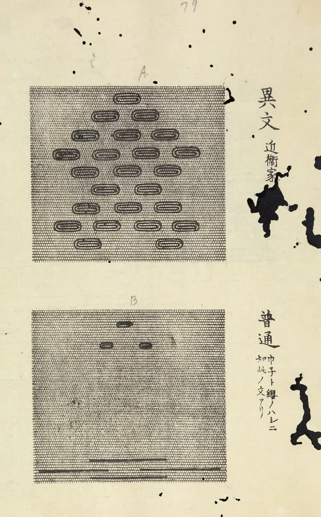 An illustration from Patterns of Brocades Worn at Court (Shōzoku shokumon zue 装束織文図会), 1815, leaf 87