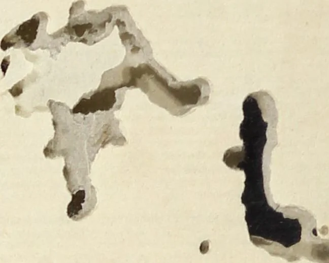An illustration from Patterns of Brocades Worn at Court (Shōzoku shokumon zue 装束織文図会), 1815, leaf 95
