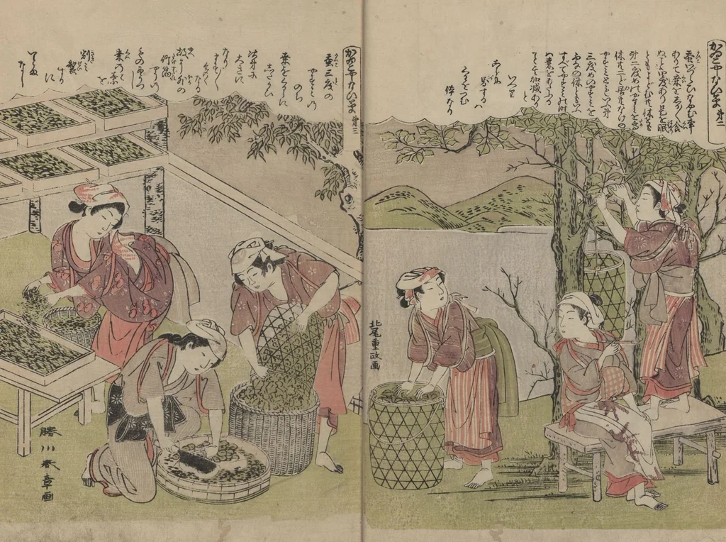 An illustration from Picture Book of Brocades with Precious Threads (Ehon takara no itosuji), 1786, leaf 3