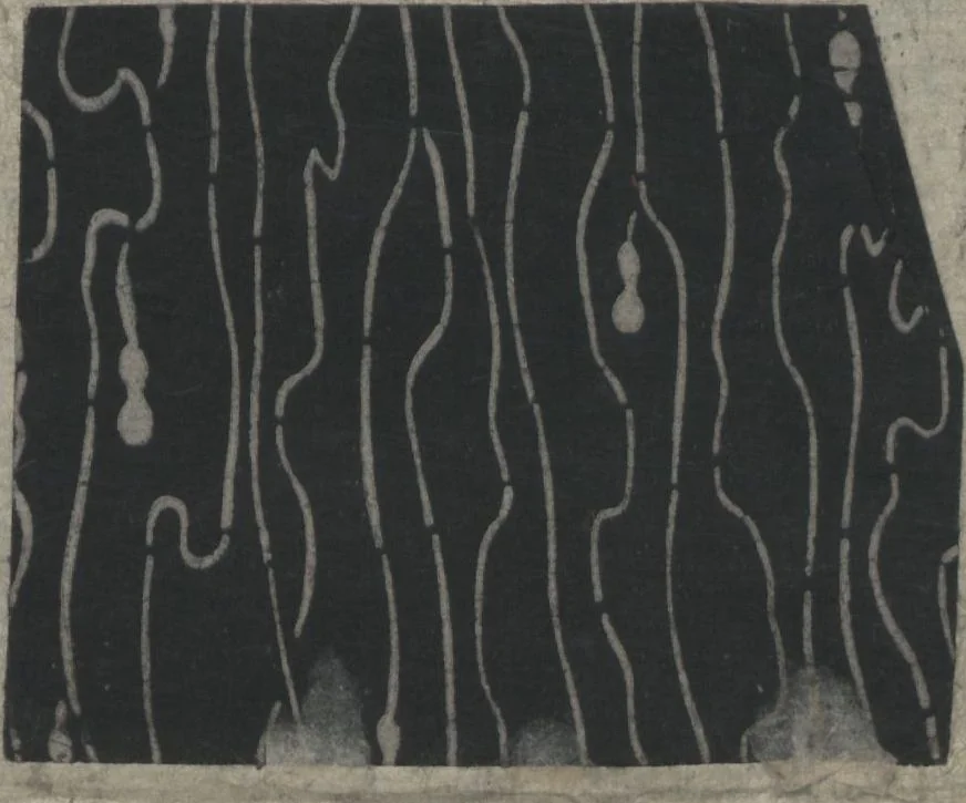An illustration from Book of Designs (Kame jirushi Shin Komon hon chō 亀印 新小紋本帳 ), 1680, leaf 16