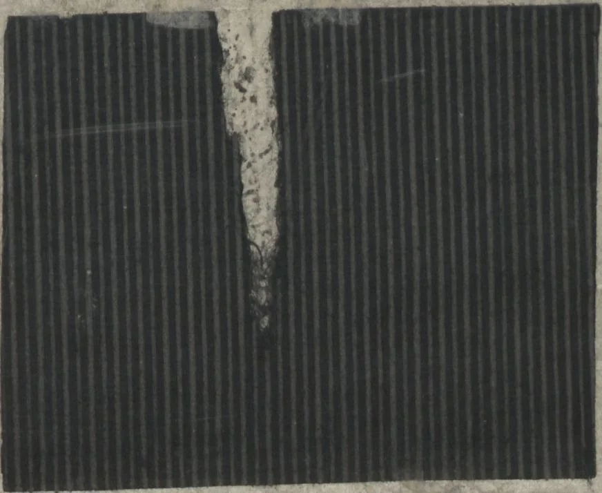 An illustration from Book of Designs (Kame jirushi Shin Komon hon chō 亀印 新小紋本帳 ), 1680, leaf 16