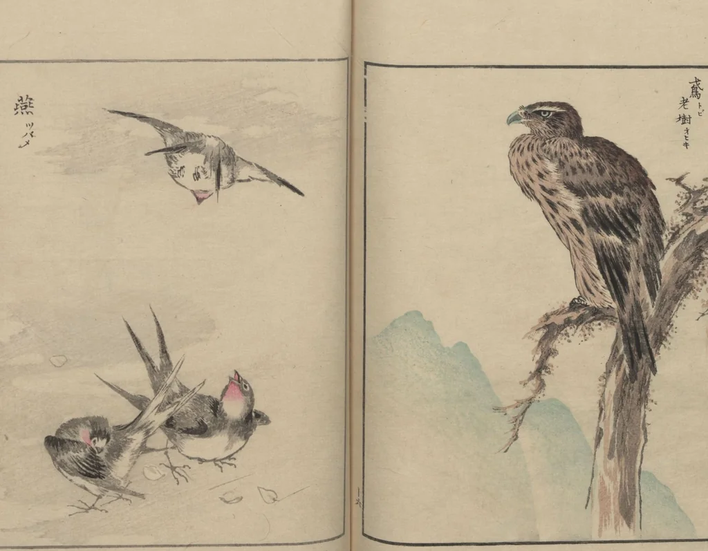 An illustration from Picture Album of Various Birds (Shūchō gafu 聚鳥畫譜), 1885, leaf 18
