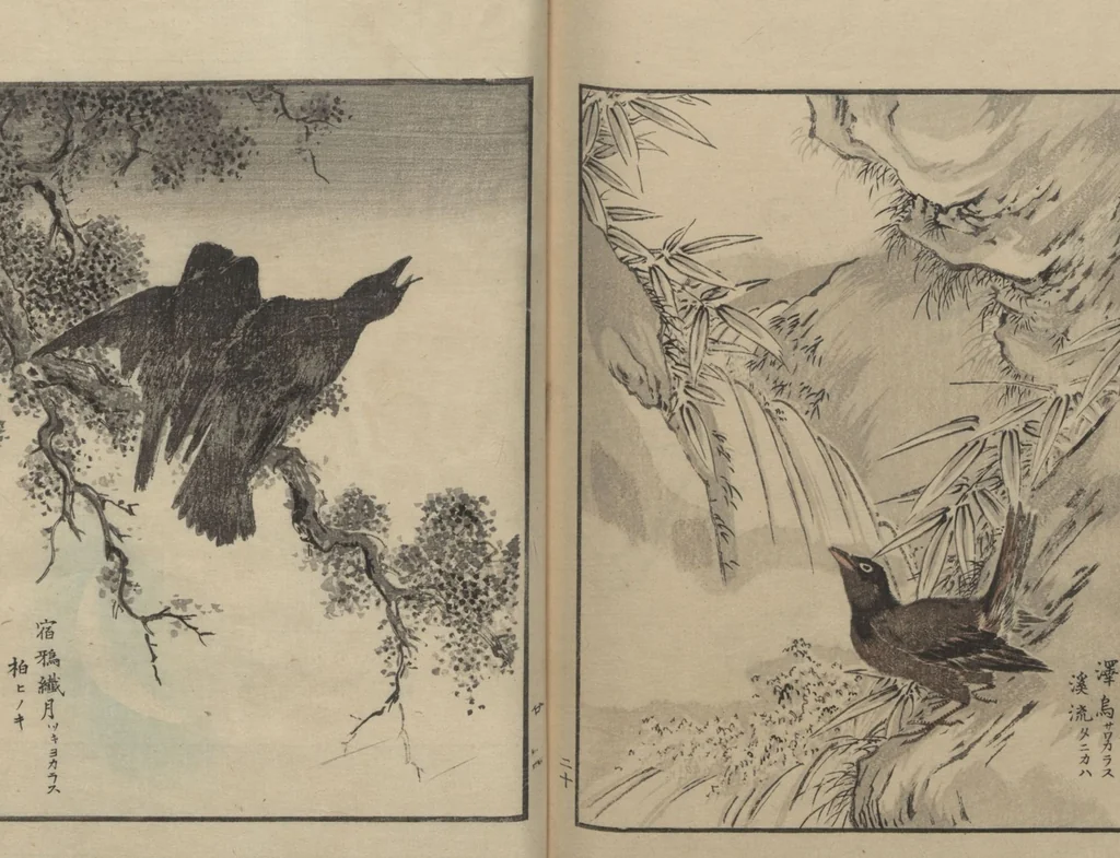 An illustration from Picture Album of Various Birds (Shūchō gafu 聚鳥畫譜), 1885, leaf 22