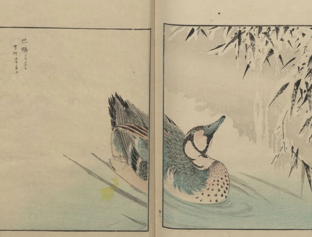 An illustration from Picture Album of Various Birds (Shūchō gafu 聚鳥畫譜), 1885, leaf 24
