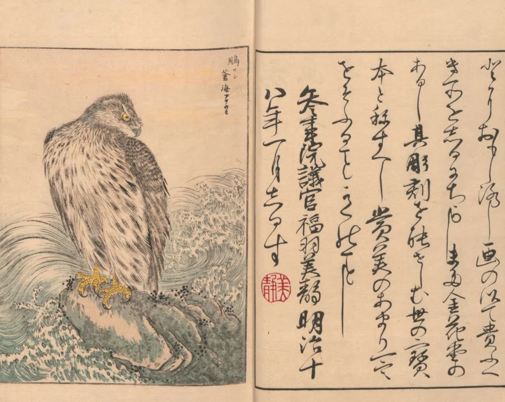 An illustration from Picture Album of Various Birds (Shūchō gafu 聚鳥畫譜), 1885, leaf 3