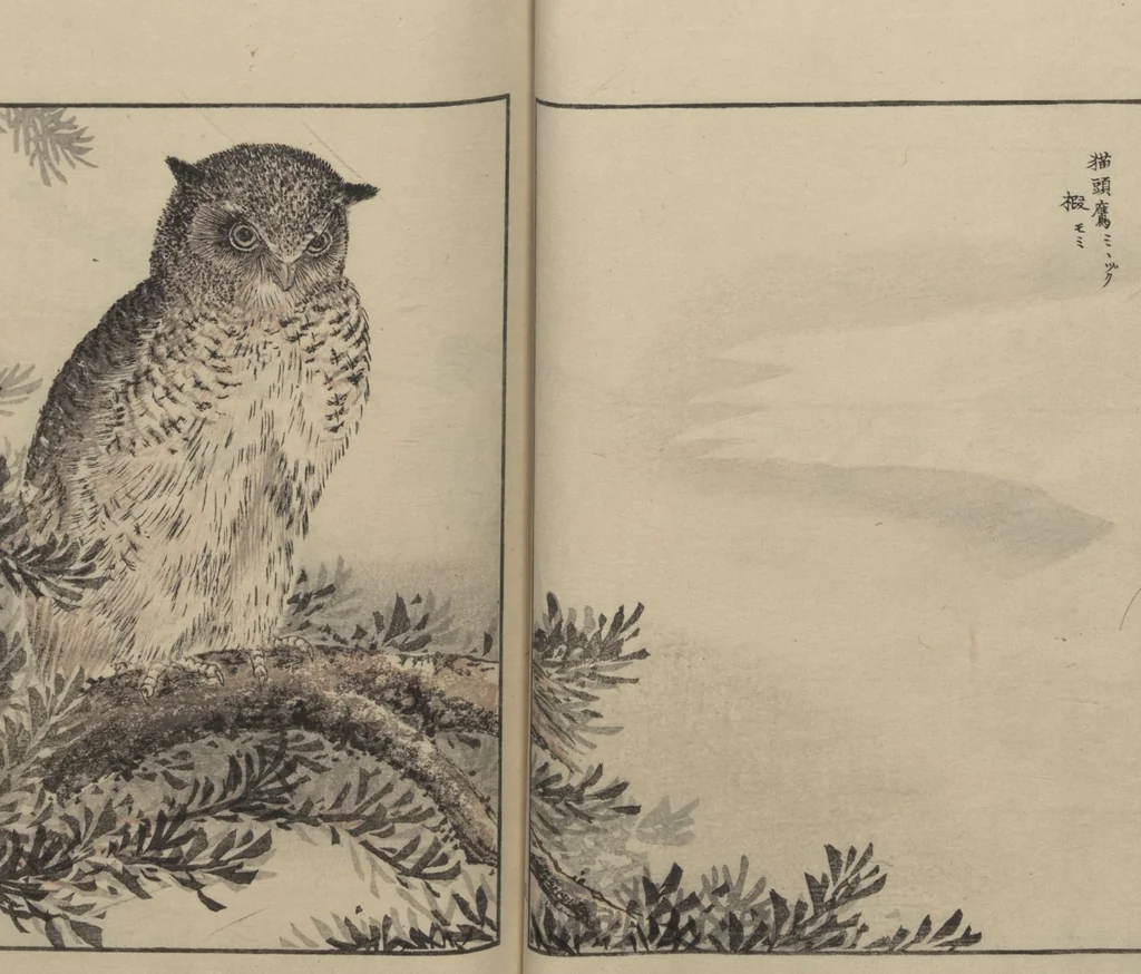 An illustration from Picture Album of Various Birds (Shūchō gafu 聚鳥畫譜), 1885, leaf 8