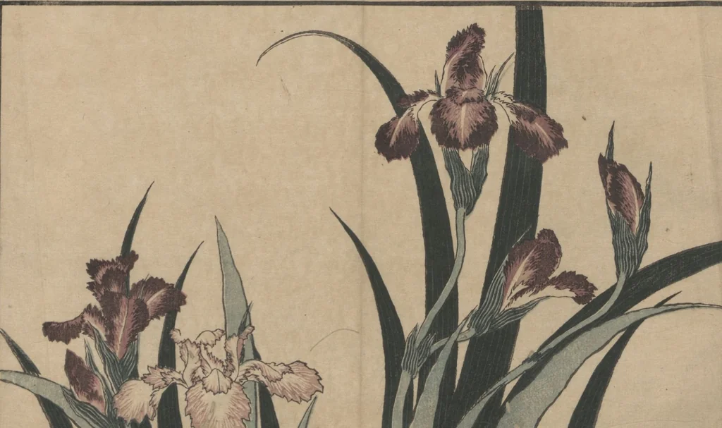 An illustration from Pictures after Nature (Hokusai shashin gafu), 1814, leaf 13