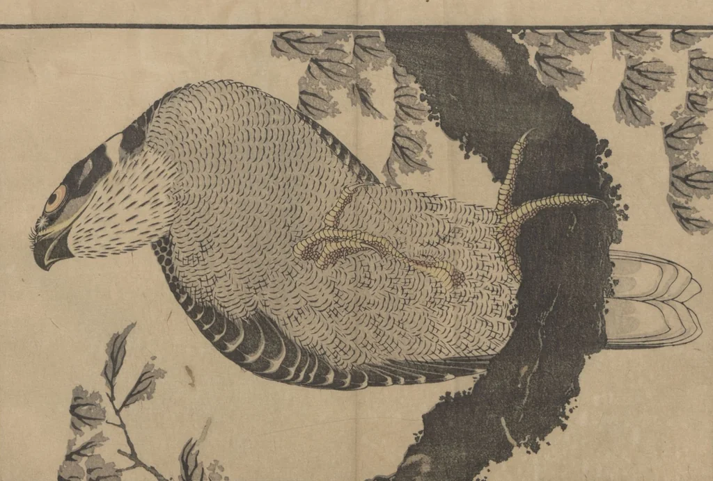 An illustration from Pictures after Nature (Hokusai shashin gafu), 1814, leaf 14
