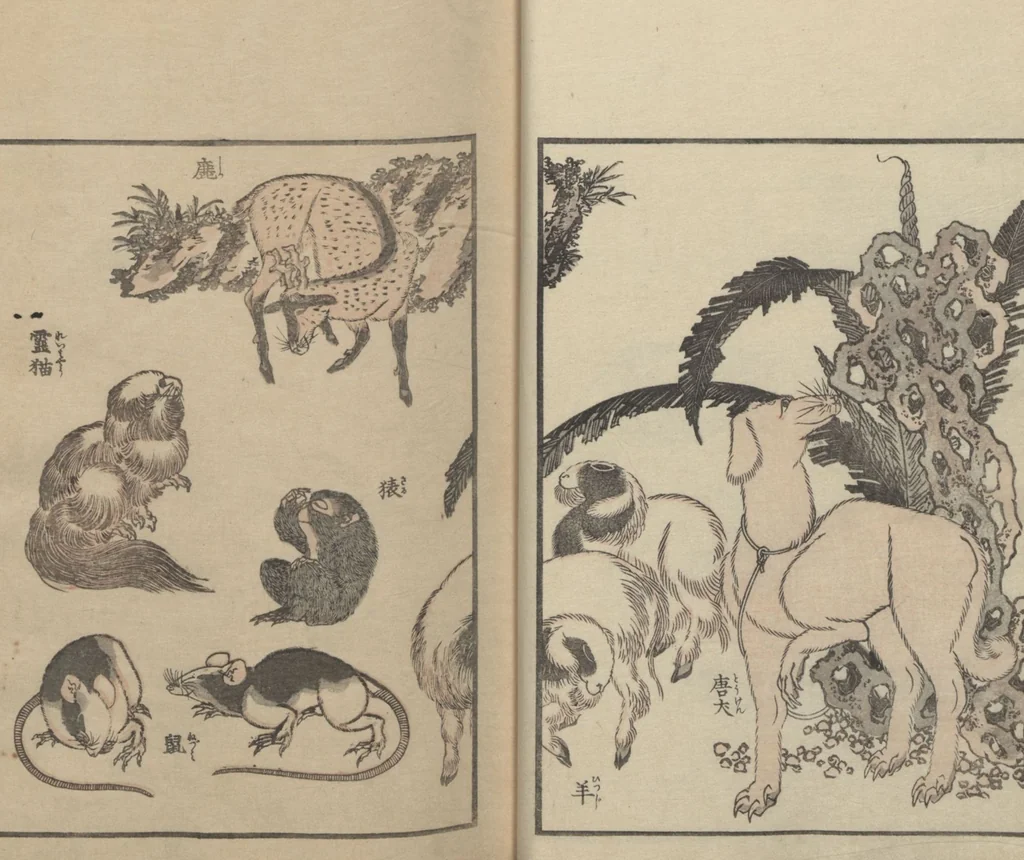 An illustration from Transmitting the Spirit, Revealing the Form of Things: Hokusai Sketchbooks (Denshin kaishu: Hokusai manga, jūgohen 伝神開手 北斎漫画 十五編) : [volume 15], 1878, leaf 14