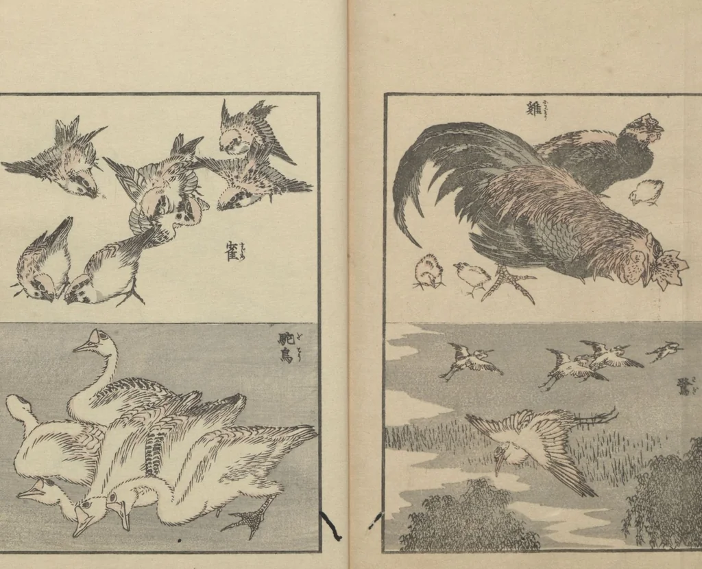 An illustration from Transmitting the Spirit, Revealing the Form of Things: Hokusai Sketchbooks (Denshin kaishu: Hokusai manga, jūgohen 伝神開手 北斎漫画 十五編) : [volume 15], 1878, leaf 24