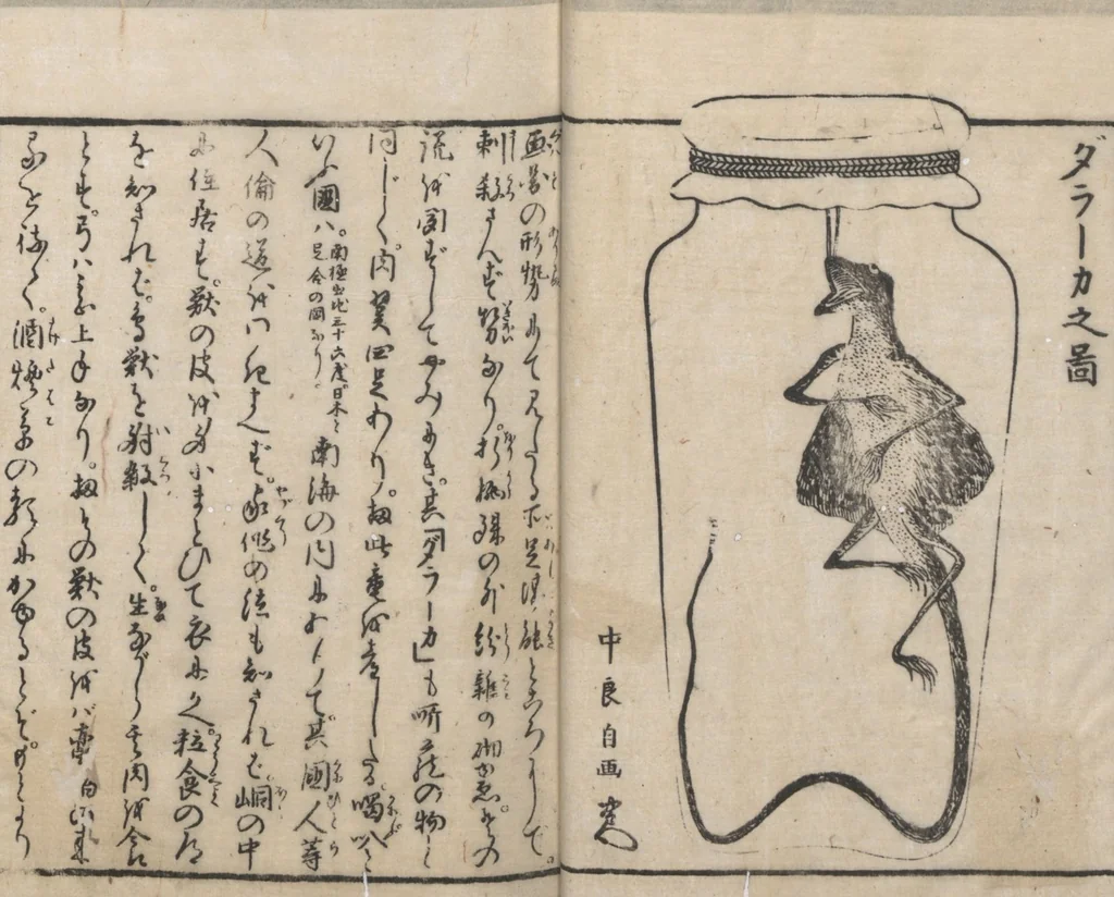 An illustration from Chats on Novelties of Foreign Lands (Kōmōzatsuwa 紅毛雑話) : [volume 1], 1787, leaf 18