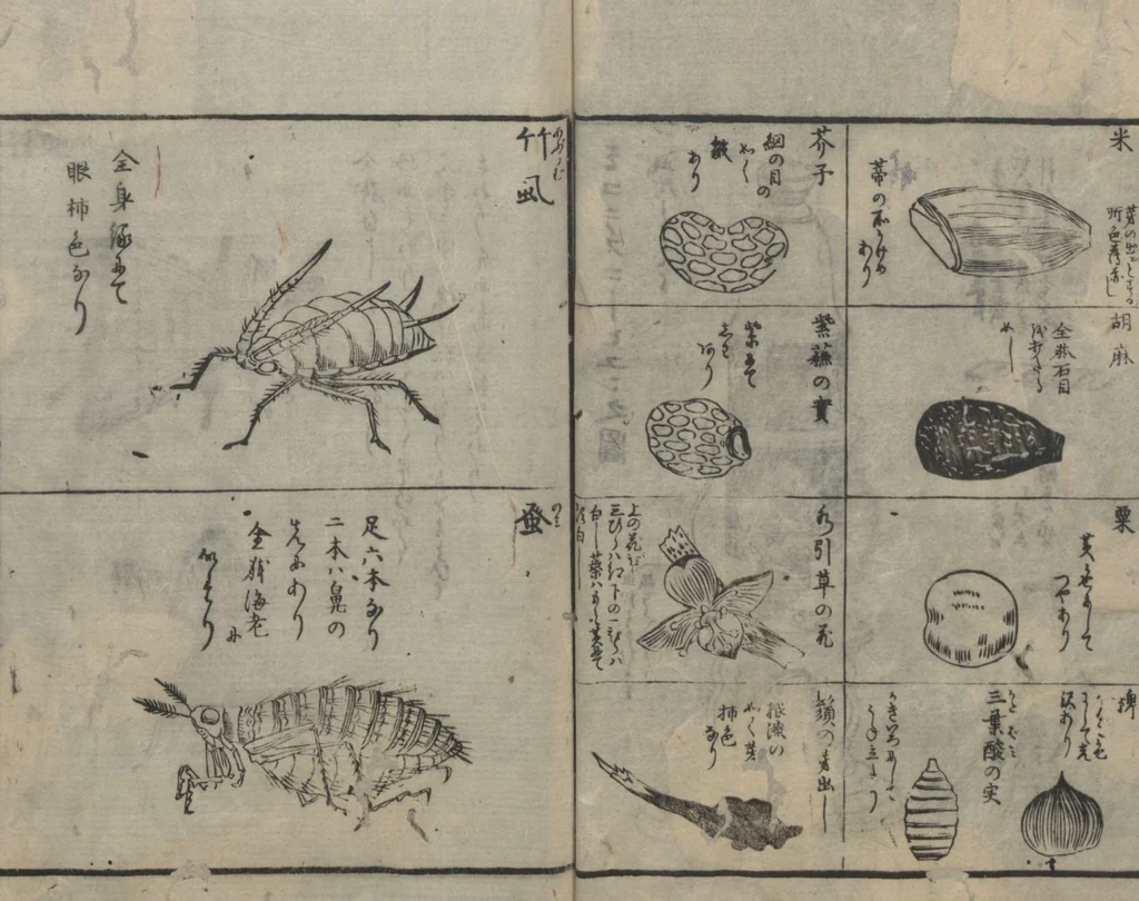 An illustration from Chats on Novelties of Foreign Lands (Kōmōzatsuwa 紅毛雑話) : [volume 3], 1787, leaf 19