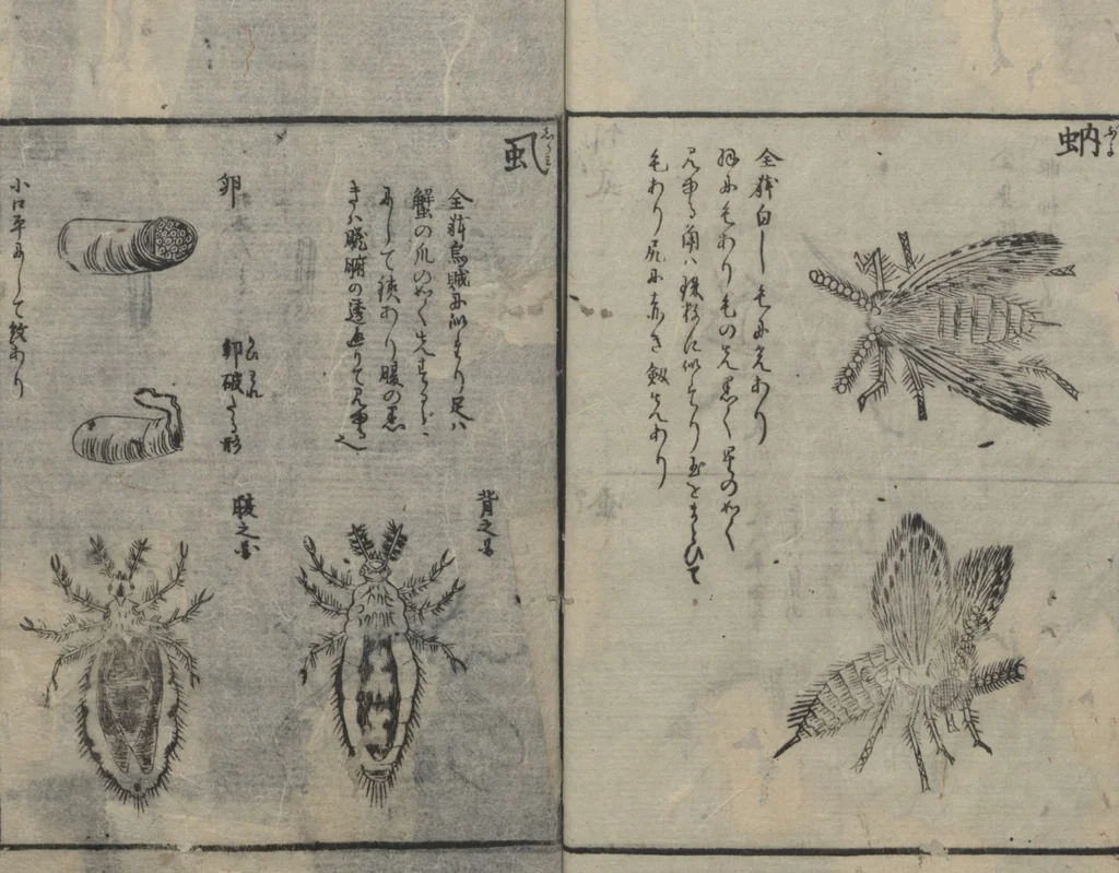 An illustration from Chats on Novelties of Foreign Lands (Kōmōzatsuwa 紅毛雑話) : [volume 3], 1787, leaf 20