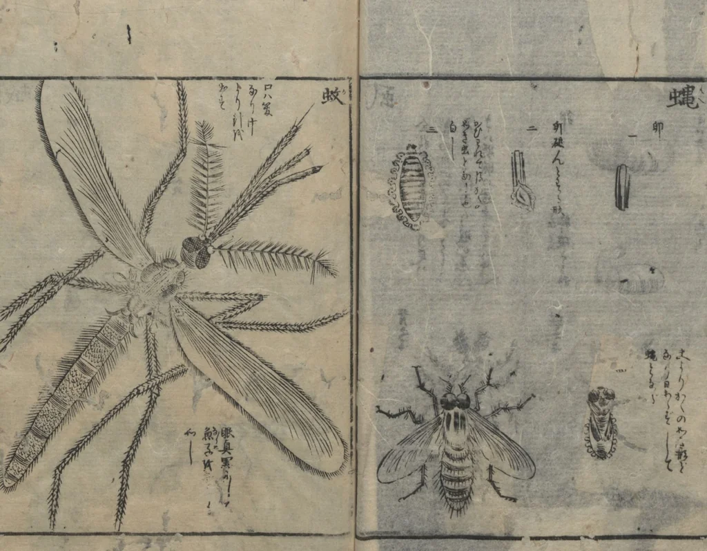 An illustration from Chats on Novelties of Foreign Lands (Kōmōzatsuwa 紅毛雑話) : [volume 3], 1787, leaf 21