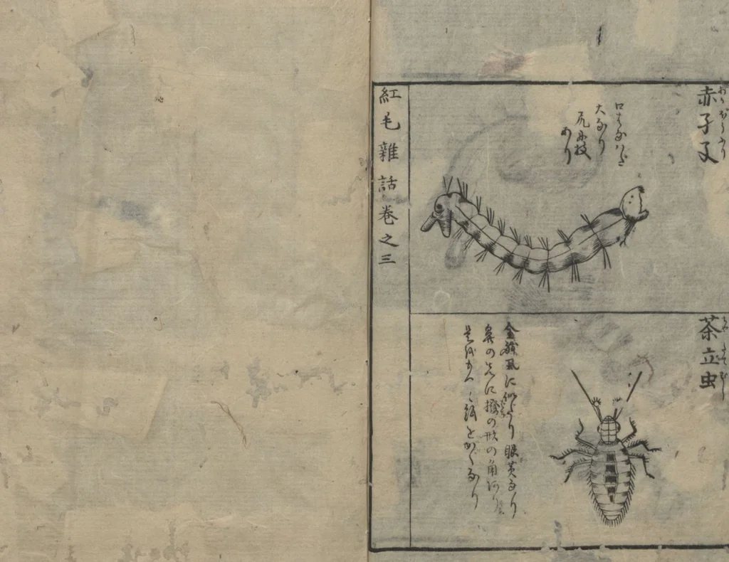 An illustration from Chats on Novelties of Foreign Lands (Kōmōzatsuwa 紅毛雑話) : [volume 3], 1787, leaf 23