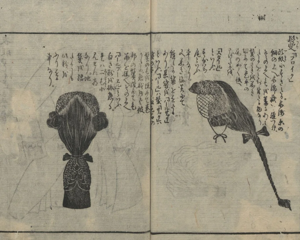 An illustration from Chats on Novelties of Foreign Lands (Kōmōzatsuwa 紅毛雑話) : [volume 5], 1787, leaf 13