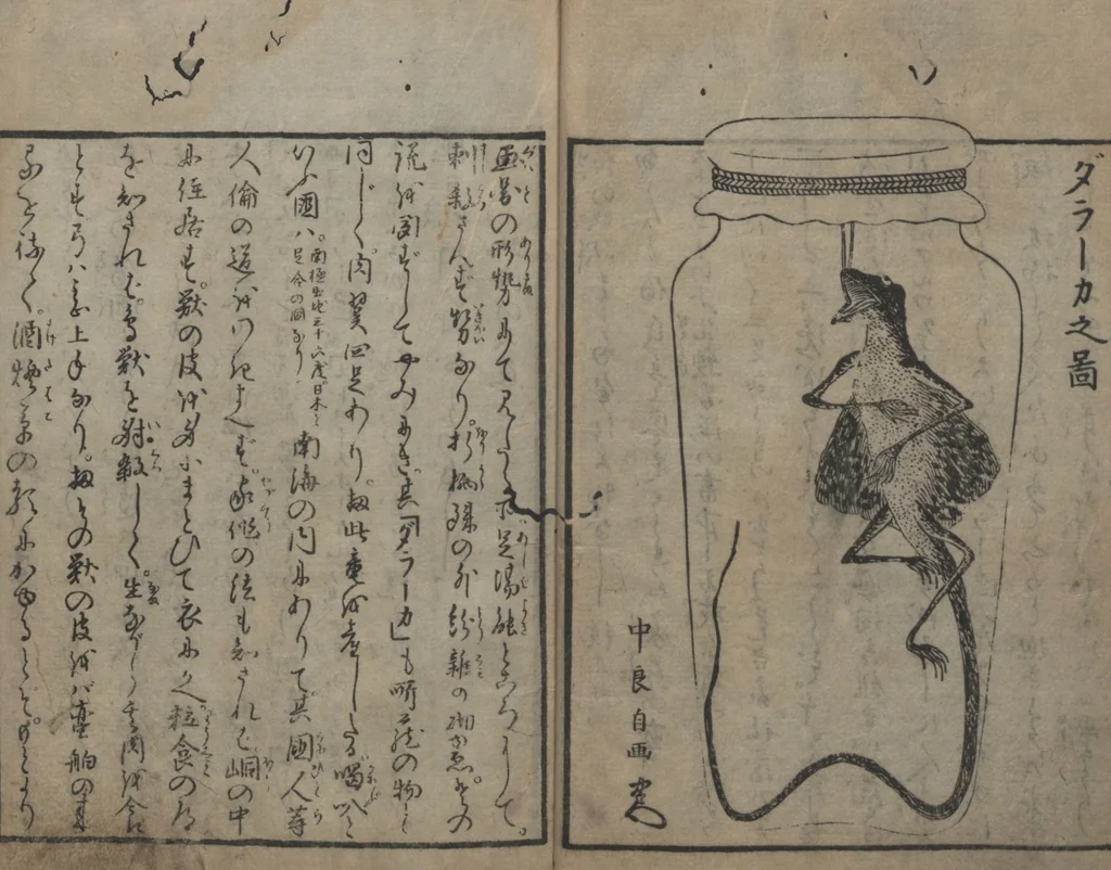 An illustration from Chats on Novelties of Foreign Lands (Kōmōzatsuwa 紅毛雑話), 1796, leaf 15